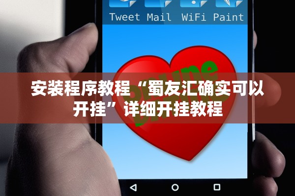 安装程序教程“蜀友汇确实可以开挂”详细开挂教程