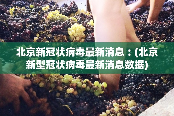 北京新冠状病毒最新消息︰(北京新型冠状病毒最新消息数据)