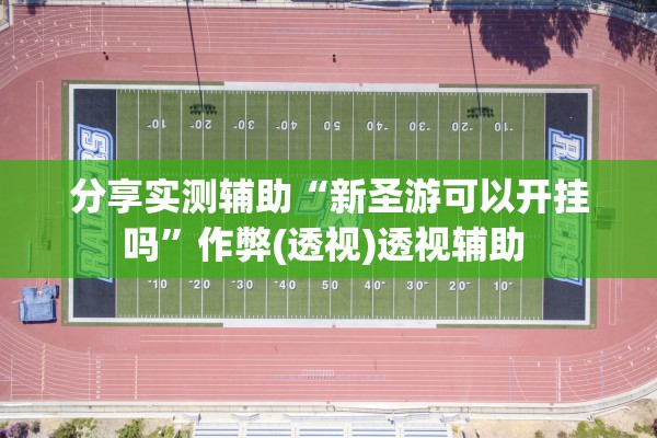 分享实测辅助“新圣游可以开挂吗”作弊(透视)透视辅助 