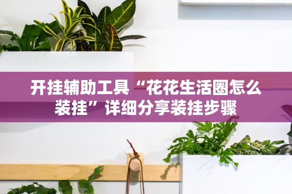 开挂辅助工具“花花生活圈怎么装挂”详细分享装挂步骤