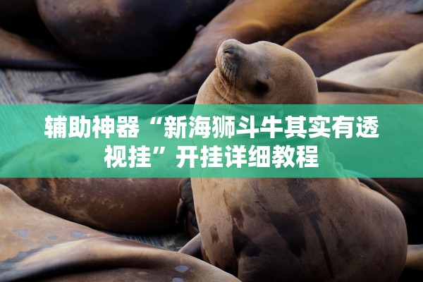 辅助神器“新海狮斗牛其实有透视挂	”开挂详细教程