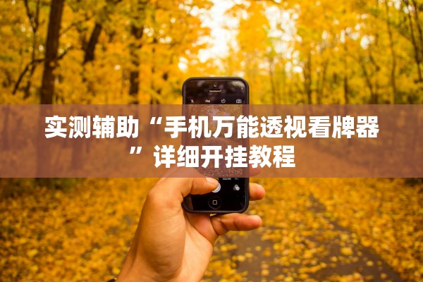 实测辅助“手机万能透视看牌器”详细开挂教程