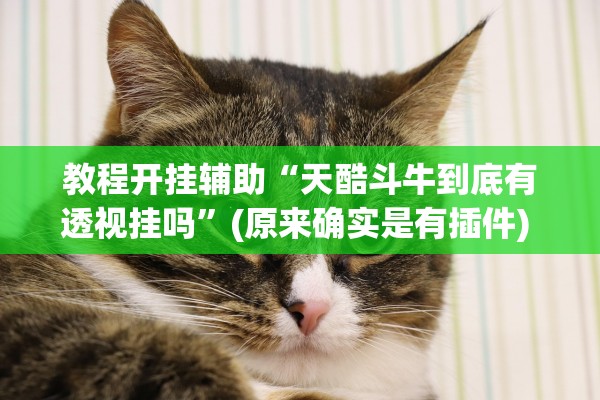 教程开挂辅助“天酷斗牛到底有透视挂吗”(原来确实是有插件) 