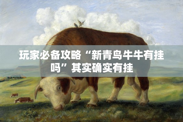 玩家必备攻略“新青鸟牛牛有挂吗”其实确实有挂