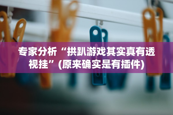 专家分析“拱趴游戏其实真有透视挂”(原来确实是有插件)
