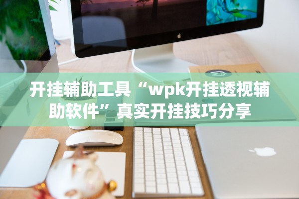 开挂辅助工具“wpk开挂透视辅助软件”真实开挂技巧分享