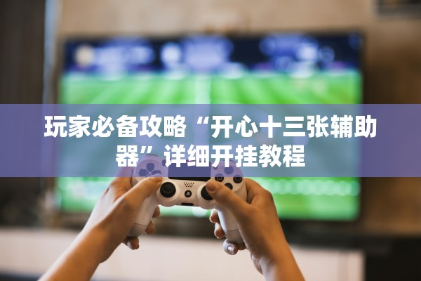 玩家必备攻略“开心十三张辅助器	”详细开挂教程