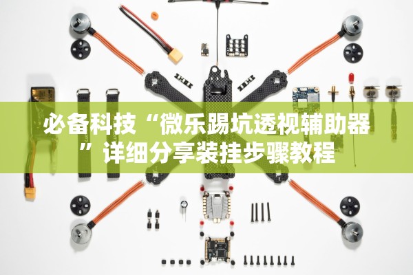 必备科技“微乐踢坑透视辅助器”详细分享装挂步骤教程