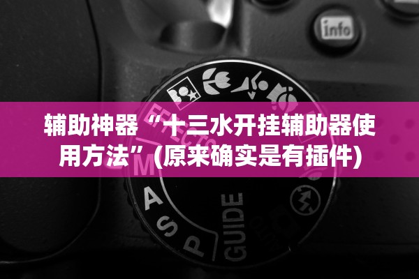 辅助神器“十三水开挂辅助器使用方法”(原来确实是有插件)