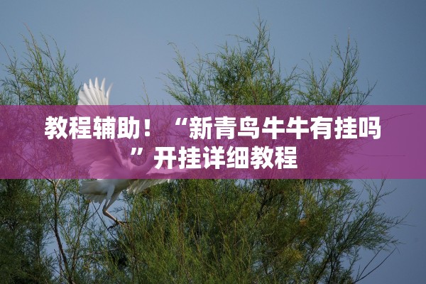 教程辅助！“新青鸟牛牛有挂吗”开挂详细教程