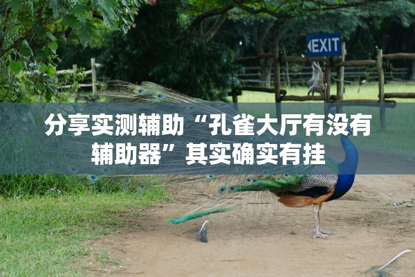 分享实测辅助“孔雀大厅有没有辅助器”其实确实有挂