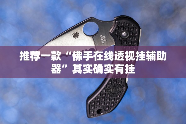 推荐一款“佛手在线透视挂辅助器”其实确实有挂