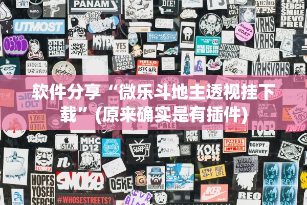 软件分享“微乐斗地主透视挂下载”(原来确实是有插件)