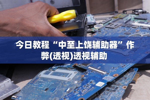 今日教程“中至上饶辅助器	”作弊(透视)透视辅助 