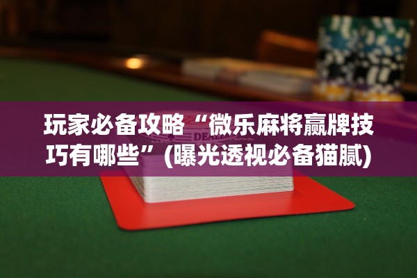 玩家必备攻略“微乐麻将赢牌技巧有哪些	”(曝光透视必备猫腻)