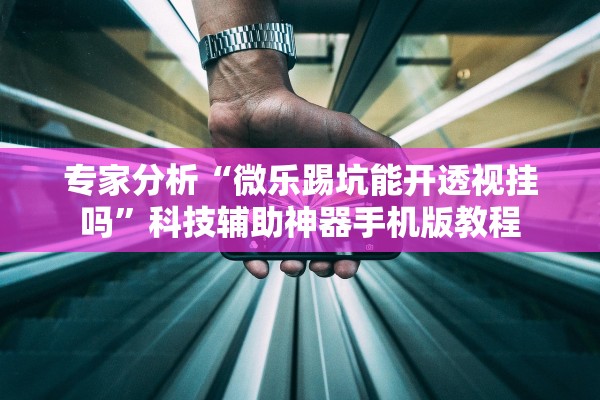 专家分析“微乐踢坑能开透视挂吗	”科技辅助神器手机版教程