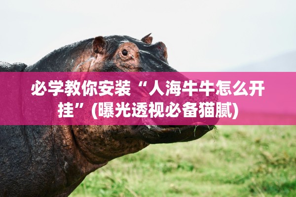 必学教你安装“人海牛牛怎么开挂”(曝光透视必备猫腻)