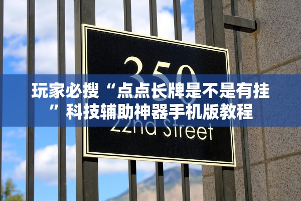 玩家必搜“点点长牌是不是有挂”科技辅助神器手机版教程
