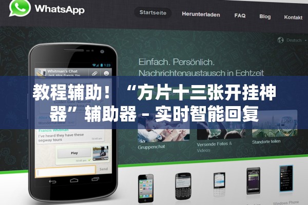 教程辅助！“方片十三张开挂神器”辅助器 – 实时智能回复