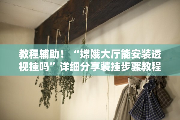 教程辅助！“嫦娥大厅能安装透视挂吗”详细分享装挂步骤教程