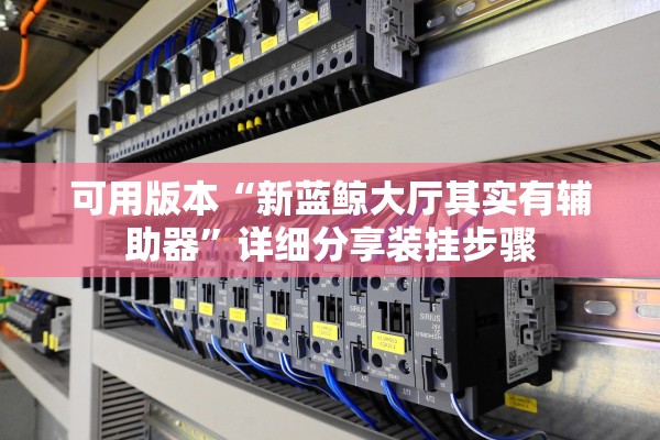 可用版本“新蓝鲸大厅其实有辅助器”详细分享装挂步骤