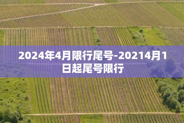 2024年4月限行尾号-20214月1日起尾号限行
