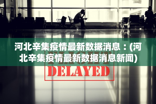 河北辛集疫情最新数据消息︰(河北辛集疫情最新数据消息新闻)