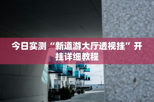 今日实测“新道游大厅透视挂”开挂详细教程