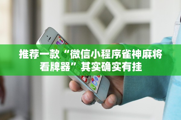 推荐一款“微信小程序雀神麻将看牌器”其实确实有挂