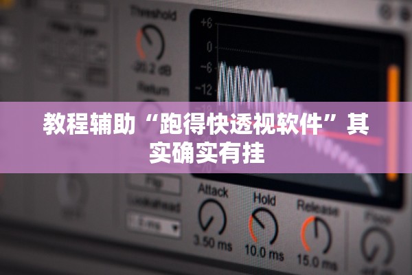 教程辅助“跑得快透视软件”其实确实有挂