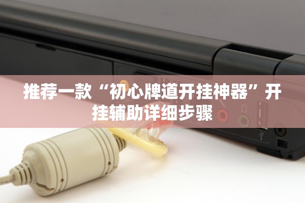 推荐一款“初心牌道开挂神器”开挂辅助详细步骤