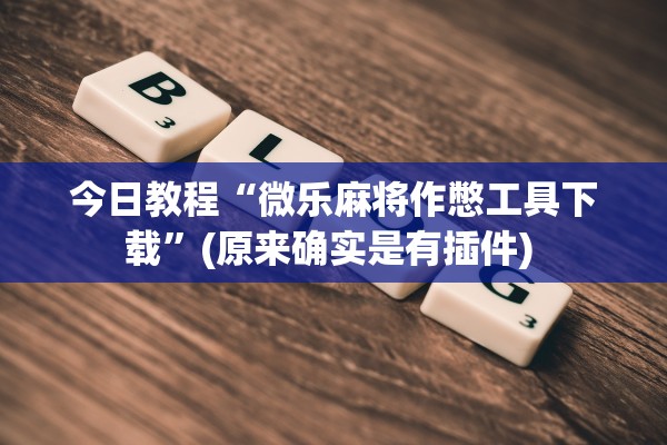 今日教程“微乐麻将作憋工具下载	”(原来确实是有插件) 