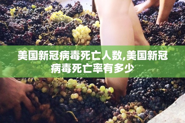 美国新冠病毒死亡人数,美国新冠病毒死亡率有多少
