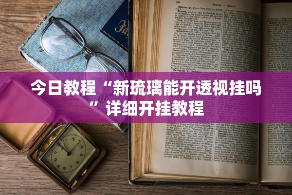 今日教程“新琉璃能开透视挂吗”详细开挂教程