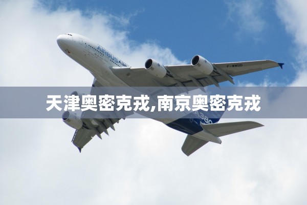 天津奥密克戎,南京奥密克戎