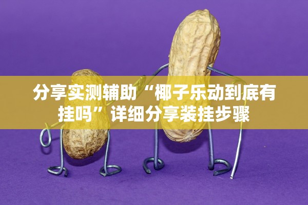 分享实测辅助“椰子乐动到底有挂吗”详细分享装挂步骤