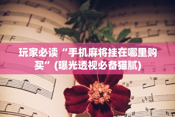 玩家必读“手机麻将挂在哪里购买”(曝光透视必备猫腻)