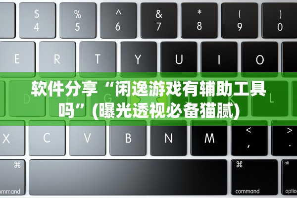 软件分享“闲逸游戏有辅助工具吗”(曝光透视必备猫腻)