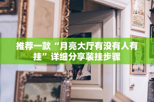 推荐一款“月亮大厅有没有人有挂”详细分享装挂步骤