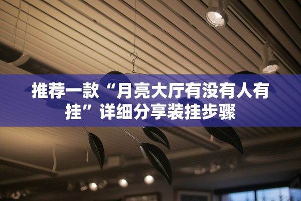 推荐一款“月亮大厅有没有人有挂”详细分享装挂步骤