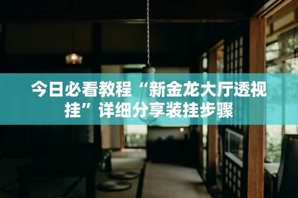 今日必看教程“新金龙大厅透视挂	”详细分享装挂步骤