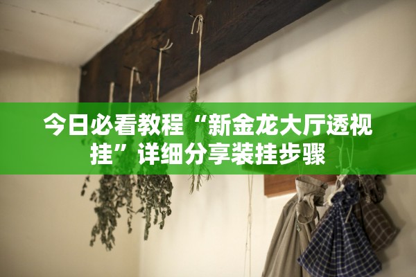 今日必看教程“新金龙大厅透视挂”详细分享装挂步骤