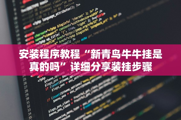 安装程序教程“新青鸟牛牛挂是真的吗	”详细分享装挂步骤