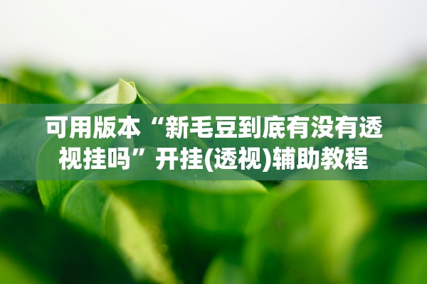 可用版本“新毛豆到底有没有透视挂吗”开挂(透视)辅助教程