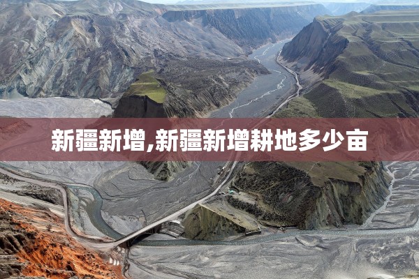 新疆新增,新疆新增耕地多少亩