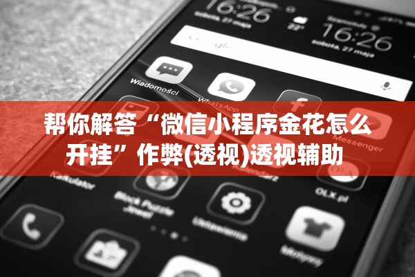 帮你解答“微信小程序金花怎么开挂”作弊(透视)透视辅助 