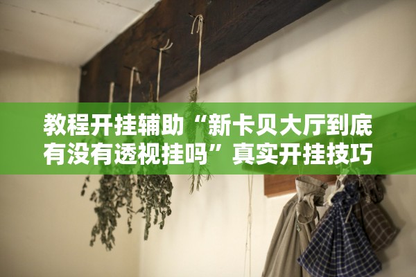 教程开挂辅助“新卡贝大厅到底有没有透视挂吗”真实开挂技巧分享