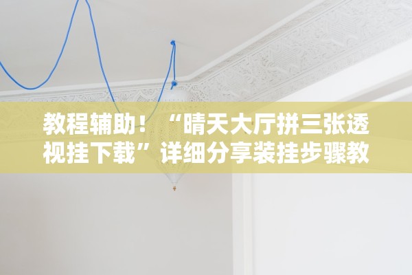 教程辅助！“晴天大厅拼三张透视挂下载”详细分享装挂步骤教程