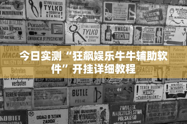 今日实测“狂飙娱乐牛牛辅助软件	”开挂详细教程