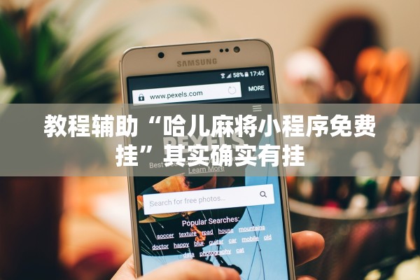 教程辅助“哈儿麻将小程序免费挂”其实确实有挂